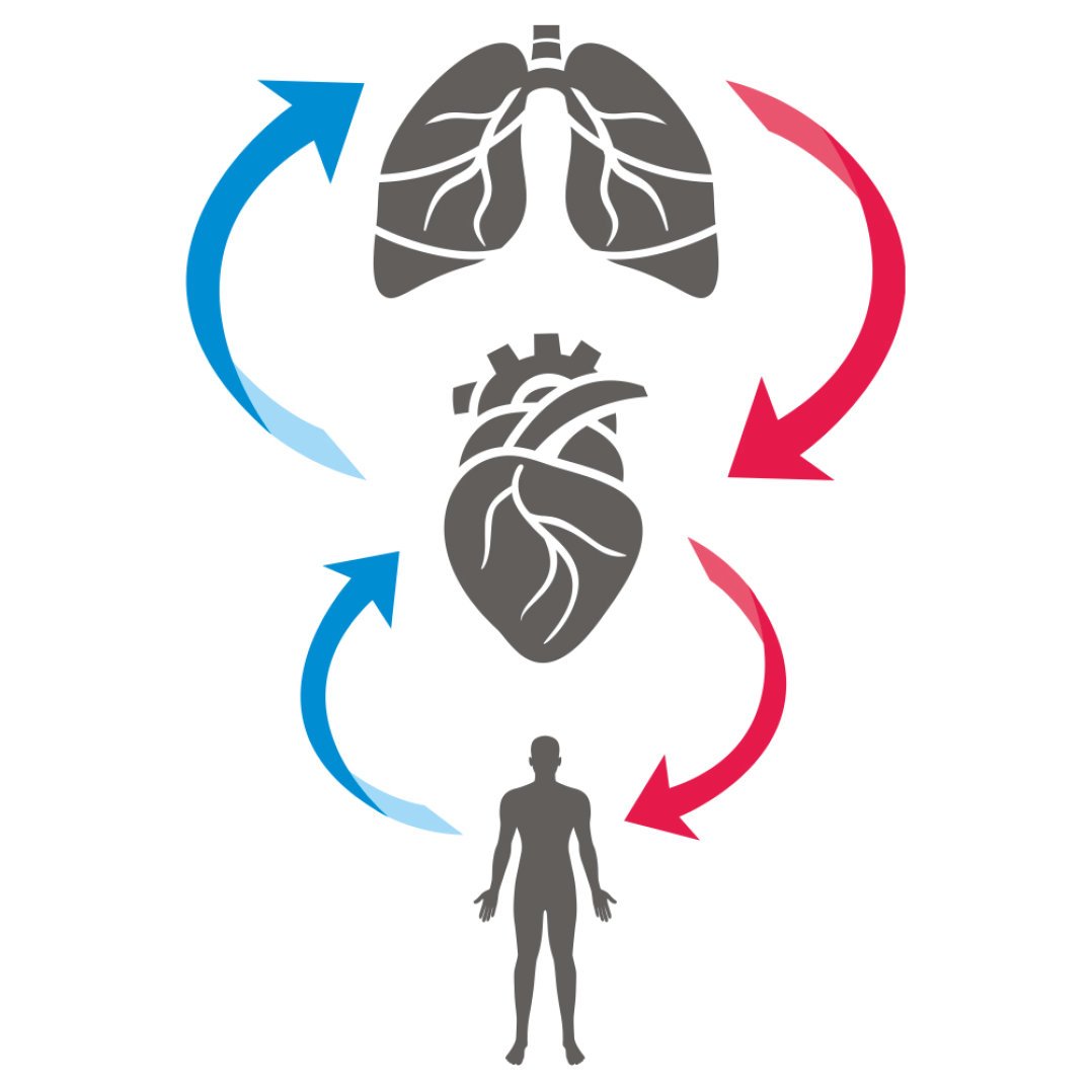 Details more than 63 physiology logo - ceg.edu.vn